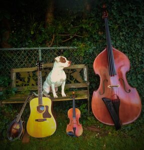 Live Video @ Victoria Folk Club