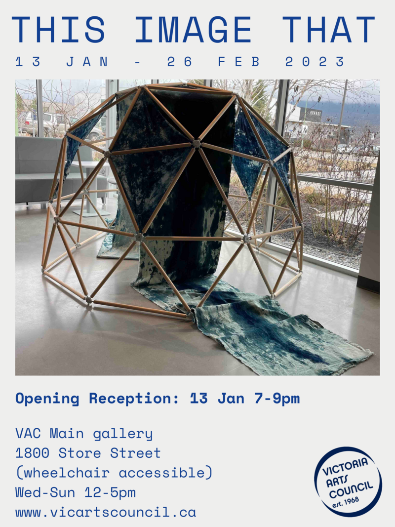 THIS IMAGE THAT - Jun 10th @ Victoria Arts Council