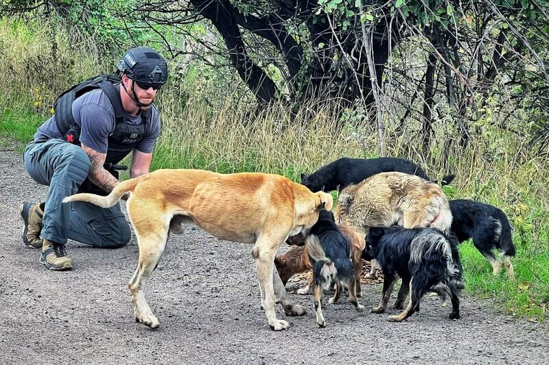 Dollars for Dogs : Fundraiser for Ukraine Dogs in Need @ Online Nov 23 2022 - May 8th @ Online