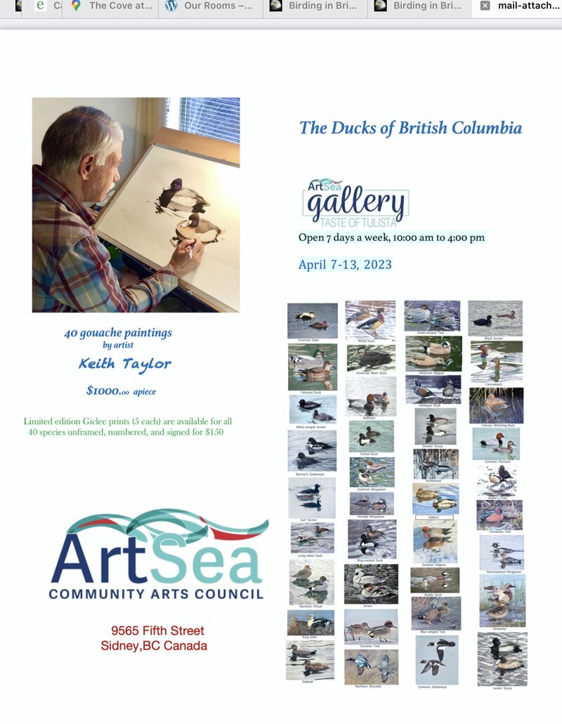 Ducks of BC: Keith Taylor @ Tulista Gallery Apr 7 2023 - Jun 9th @ Tulista Gallery