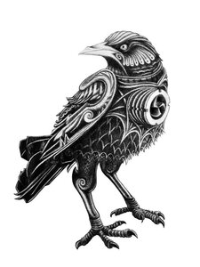 The GARVIES Crow by 
Daz Collins