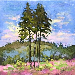 Nimpkish Trees by 
Barbara Pedersen