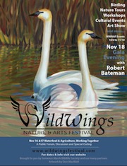 WildWings Nature & Arts Festival and Trumpeter Swan Conference @ Multiple locations Oct 6 2016 - Jun 3rd @ Multiple locations