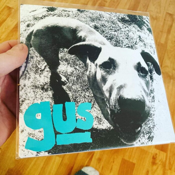Profile Image: Gus