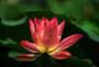A Day of Meditation @ A Day Of Meditation Oct 19 2013 - Jun 6th @ A Day Of Meditation