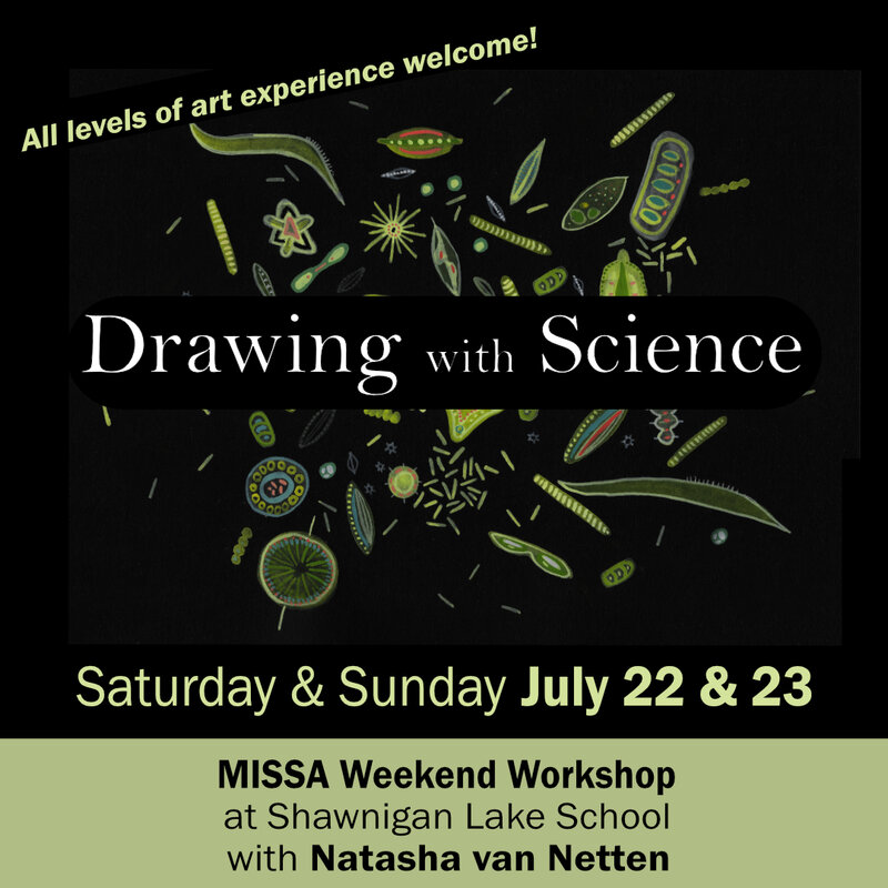 Drawing with Science (Weekend Workshop) @ MISSA  - Jul 22, 2023
