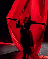 ROJO Y SOMBRA - Jun 9th @ Shadbolt Centre for the Arts