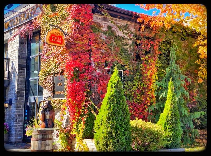 Profile Image: The Waterfront River Pub & Terrace