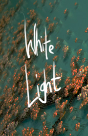WHITELIGHT WEDNESDAYS @ THE ASTORIA: SNIT, lunch lady, Bad Channels @ The Astoria  Nov 7 2012 - Jun 19th @ The Astoria 