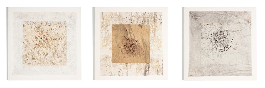 Wind drawings: Douglas-fir, Cedar, Maple by 
Lesley Turner