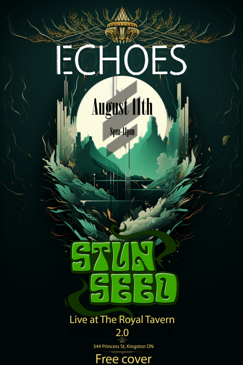 Echoes, Stun Seed at the Royal Tavern 2.0 - May 9th @ Royal Tavern 2.0