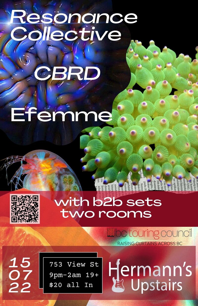 CBRD Live Electronic Debut - Jun 10th @ Hermann's Upstairs