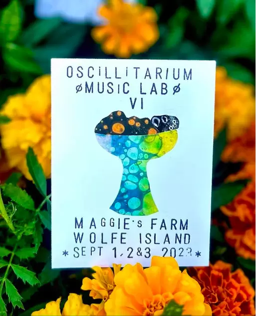 Oscillitarium Friday Showcase @ Maggie's Farm - Sep 01, 2023