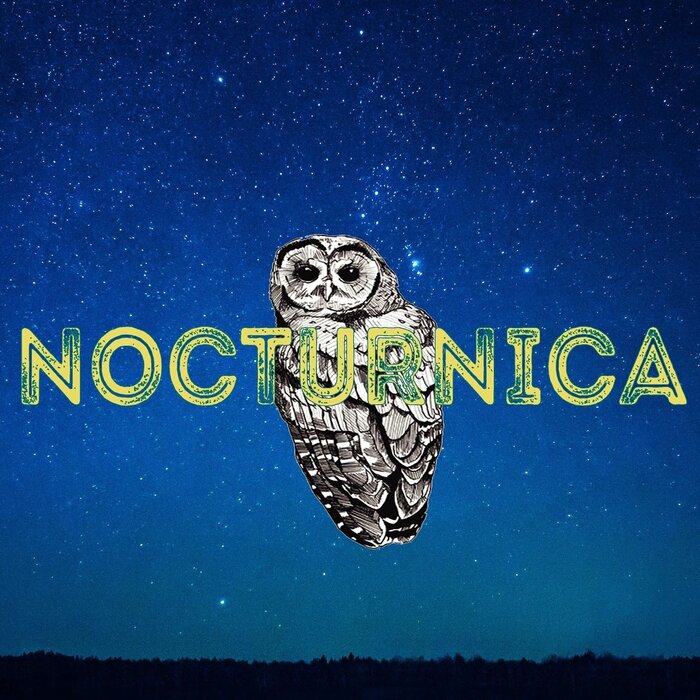 Profile Image: Nocturnica