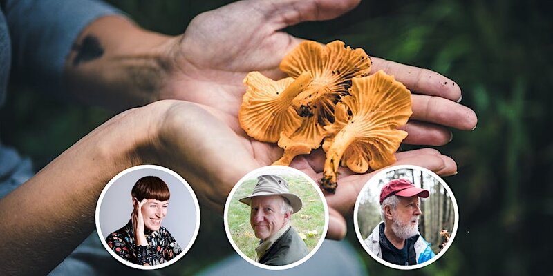 Mushroom and Plant-Based Foray with Diane Borsato and SVIMS - Jun 27th @ Art Gallery Of Greater Victoria