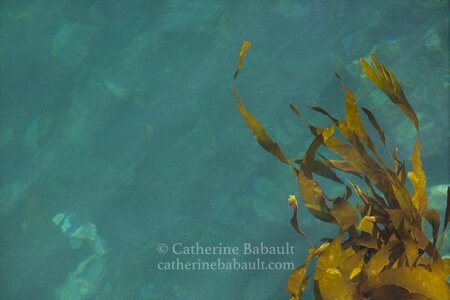 Untitled by 
Catherine Babault