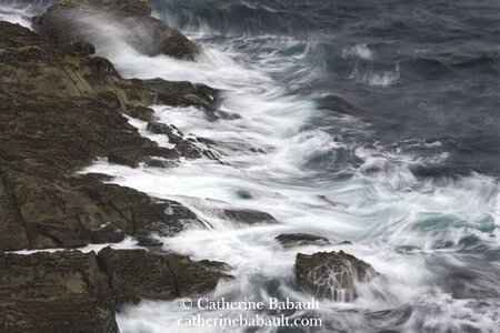 Untitled by 
Catherine Babault