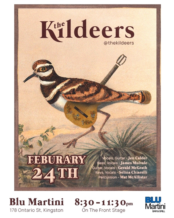 The Kildeers live - May 2nd @ Blu Martini