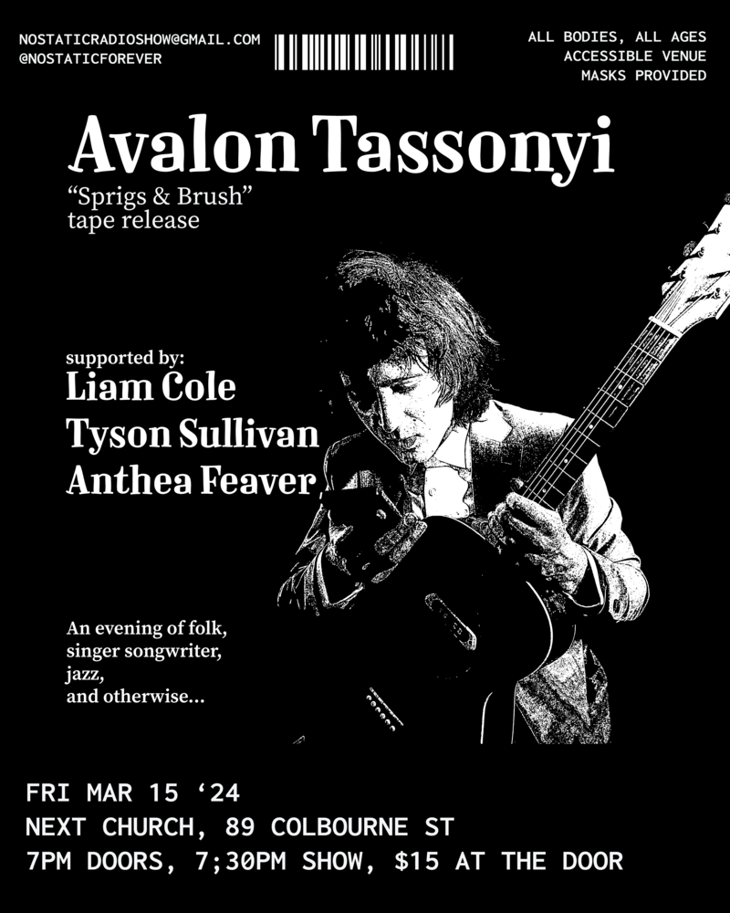 Avalon Tassonyi Sprigs & Brush Tape Release - May 8th @ Next Church