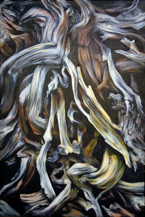 Profile Image: Angela Andersen