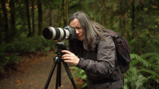 Photographie : l’oeil attentif de Catherine Babault