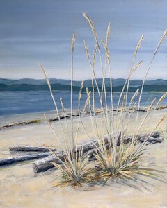 Sea Grass, Sidney Spit by 
Joy Davis