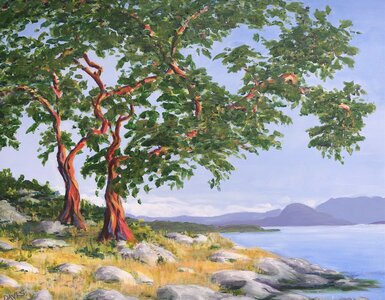 Looking North to Texada by 
Joy Davis