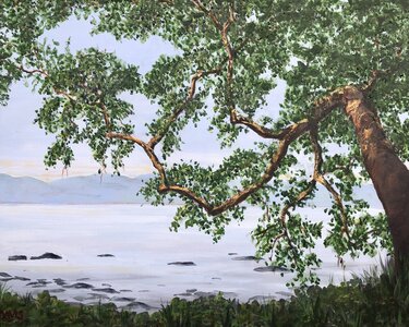 Arbutus on the Sunset Trail, Savary Island by 
Joy Davis