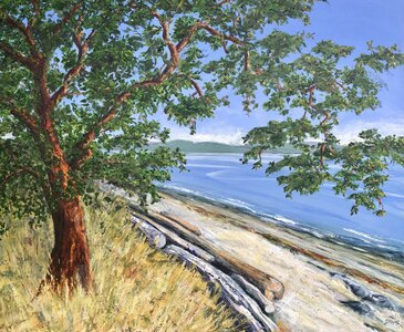 Gulf Island Beach by 
Joy Davis