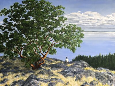 Wedgewood View by 
Joy Davis