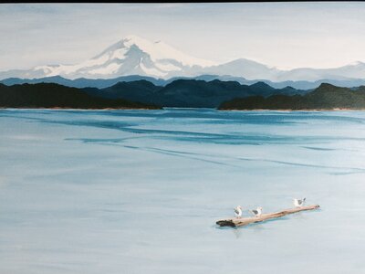 Gulls in Haro Strait by 
Joy Davis
