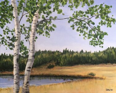 Meadow, Flying U Ranch by 
Joy Davis
