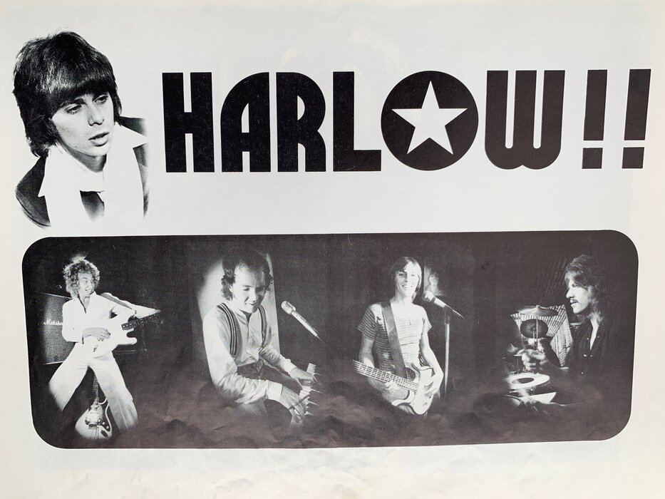 Profile Image: Harlow