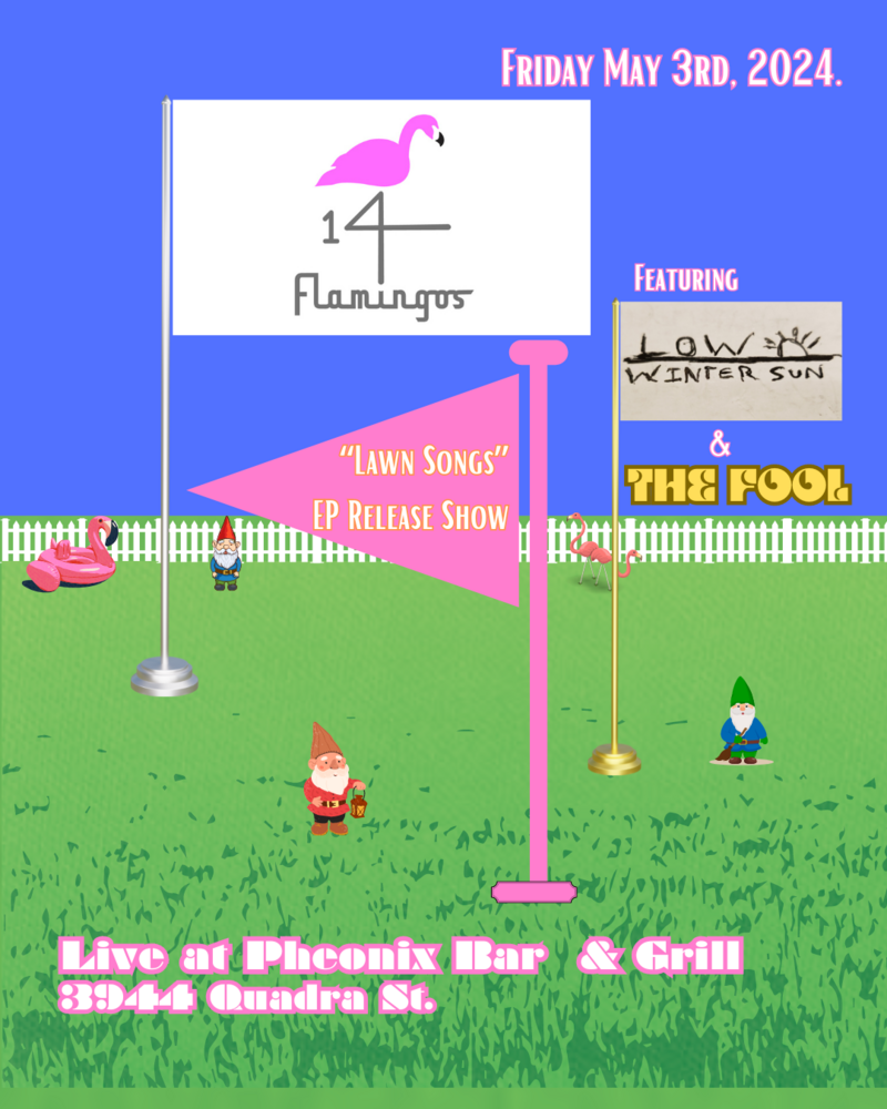 14Flamingos 