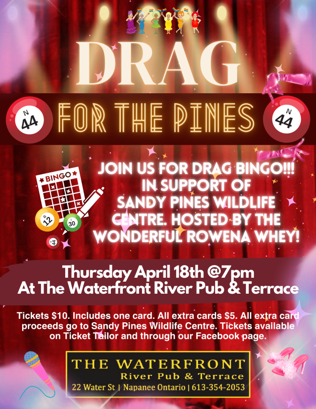 Drag for the Pines @ The Waterfront River Pub & Terrace - Apr 18, 2024