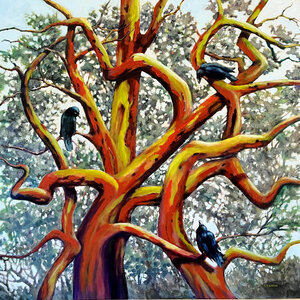 The Talking Circle by 
Catherine Taron