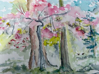 Untitled by 
Charlotte Haggart