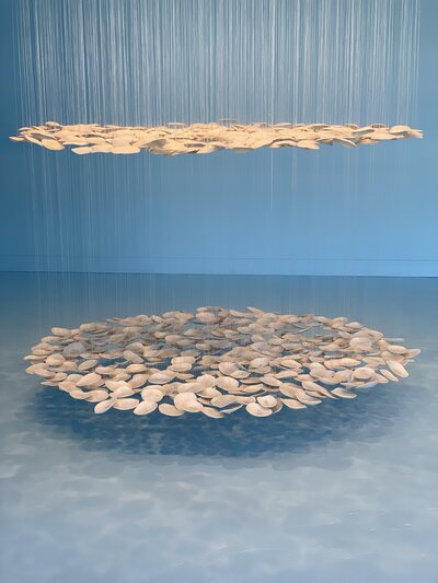 Samantha Dickie at the Victoria Arts Council Gallery. @ Victoria Arts Council Sep 10 2021 - Jun 8th @ Victoria Arts Council