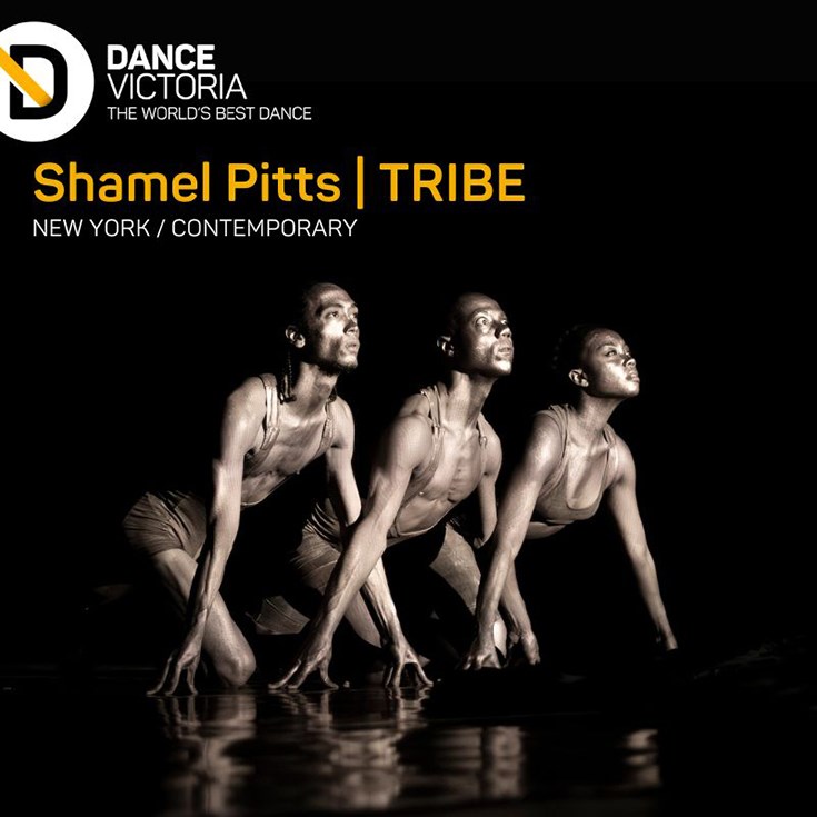 Dance Victoria Presents Shamel Pitts | Tribe - May 13th @ McPherson Playhouse