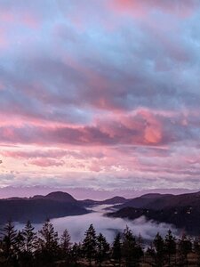 Untitled by 
Caroyln Lucas