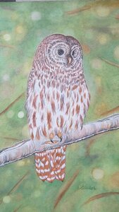 Untitled by 
Donna Birtwistle