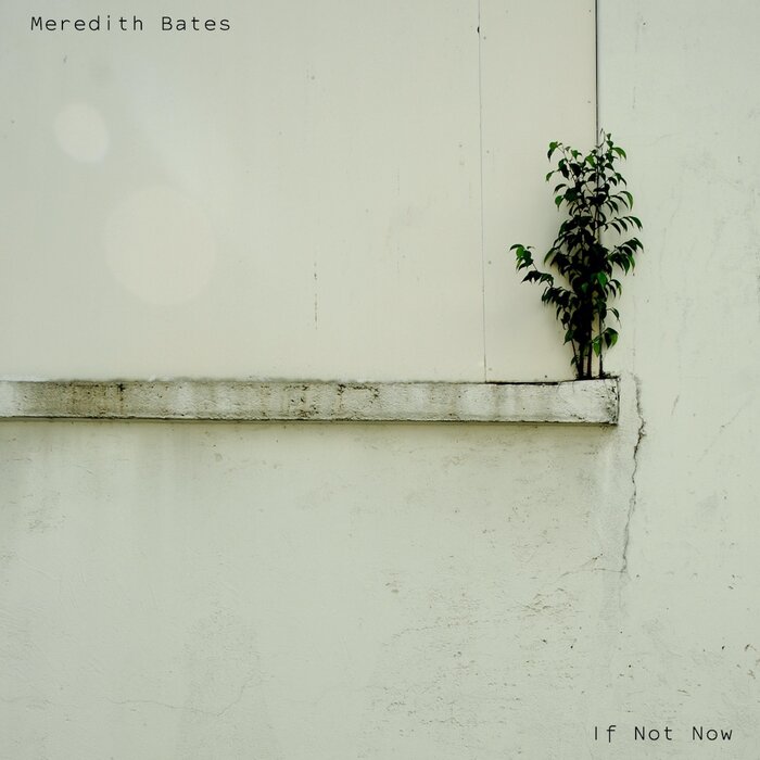 Profile Image: Meredith Bates