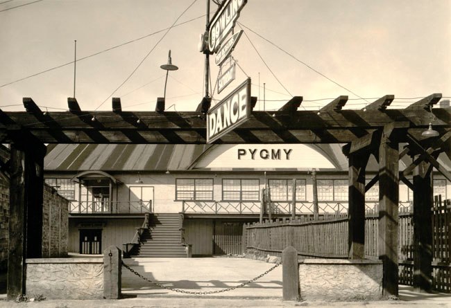 Profile Image: The Pygmy Pavilion