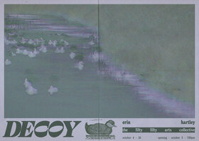 Erin Hartley: Decoy - May 5th @ the fifty fifty arts collective