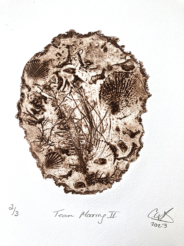 Field Notes: Impressions from the Pacific: Cindy Wright @ Xchanges Gallery Nov 9 2024 - May 7th @ Xchanges Gallery