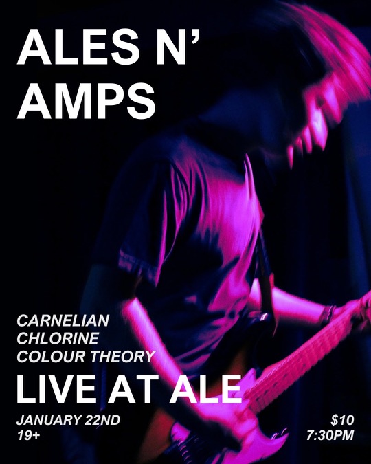 Ales n&rsquo; Amps: Carnelian, Chlorine, Colour Theory @ The Ale House & Canteen Jan 22 2025 - Apr 30th @ The Ale House & Canteen