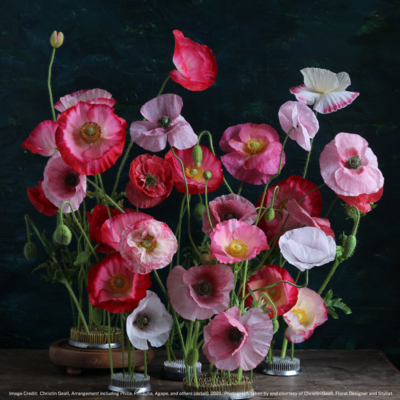 Sunday Art Lecture Series 2025 Flower Art Fusions - May 6th @ Art Gallery Of Greater Victoria