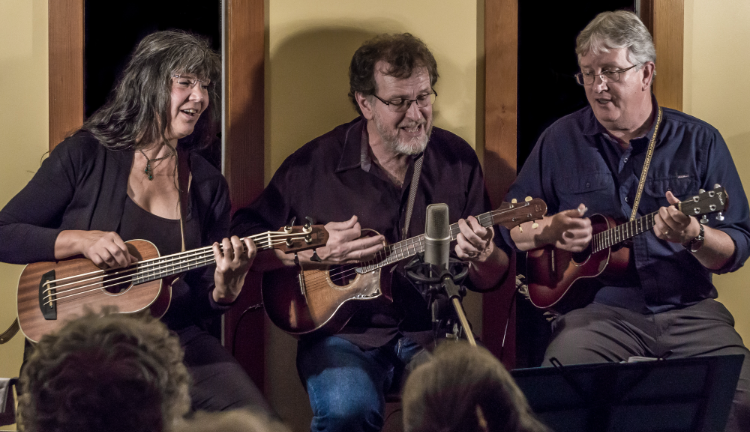 Sunday Night Folk - May 16th @ Sons of Norway