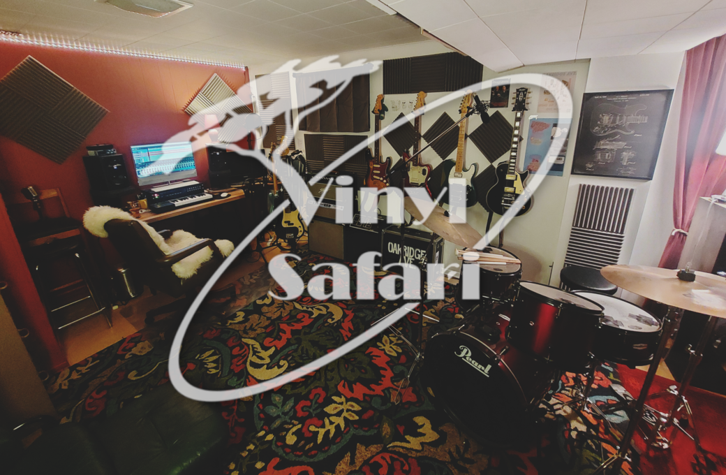 Profile Image: Vinyl Safari Studio