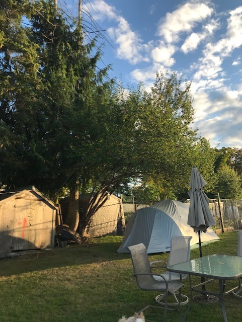 Profile Image: Flashlight Brown